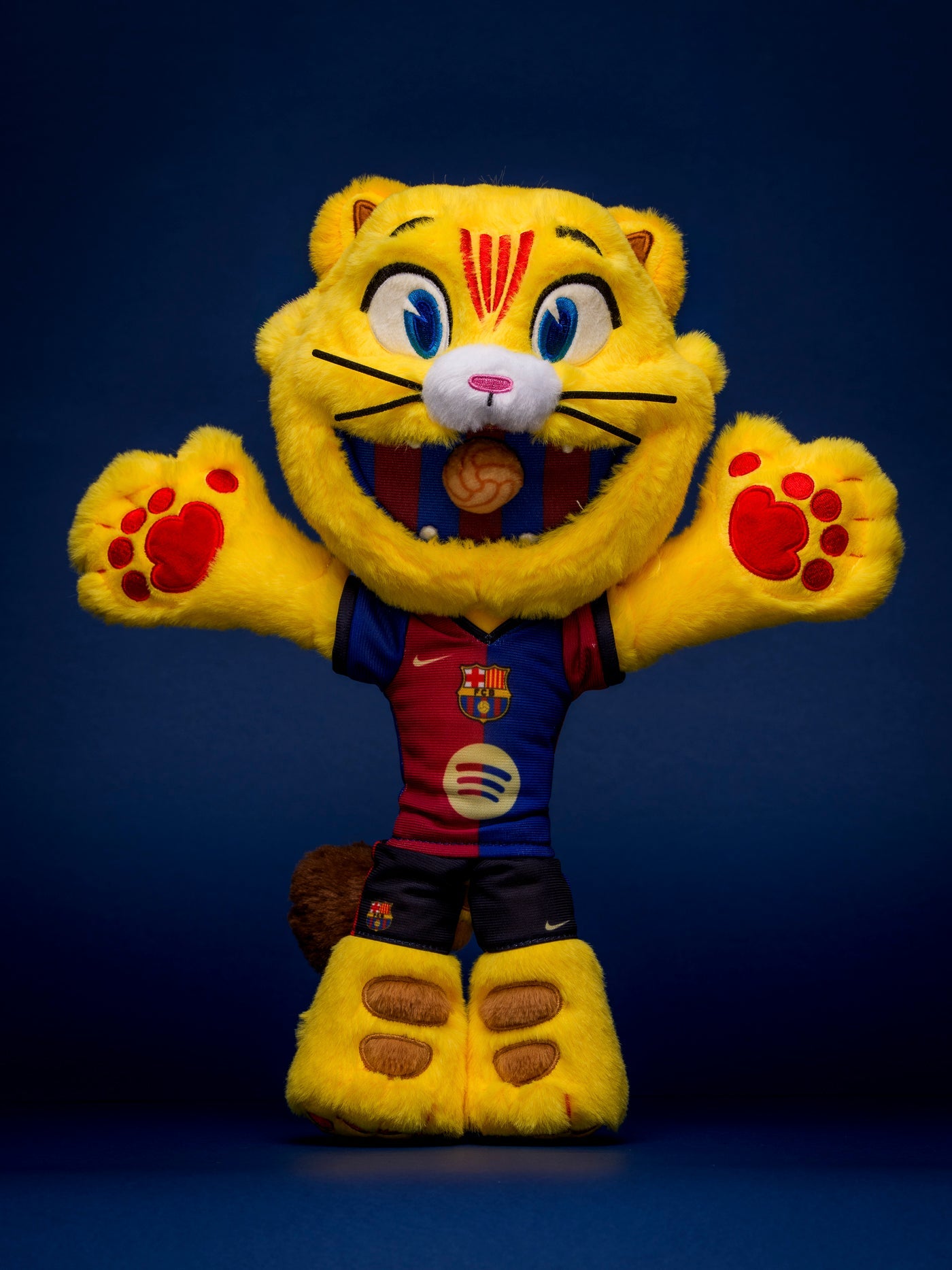 Teddy Cat Official FC Barcelona